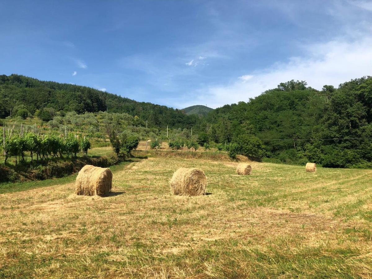 Lunigiana Experience Appartement Pontremoli Buitenkant foto